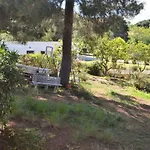 La Rotta