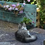 La Rotta Vakantiehuis *